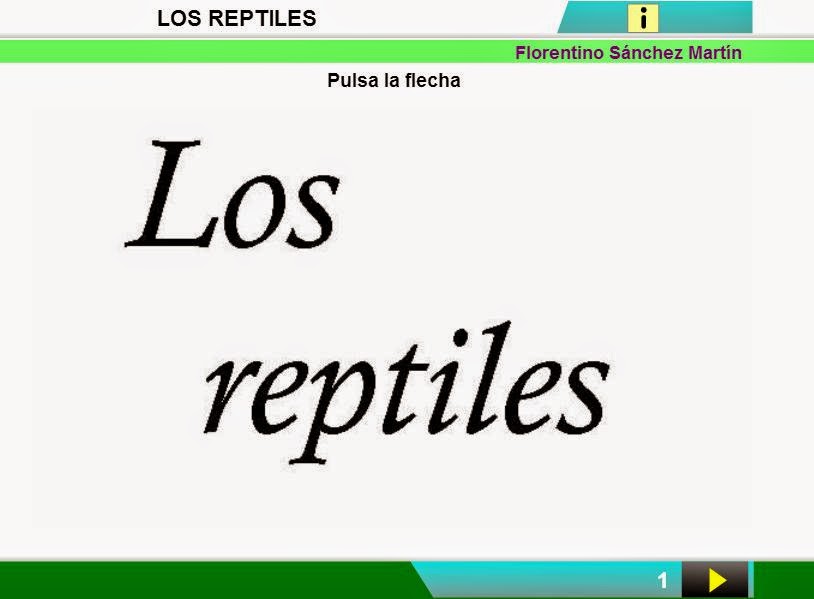  reptiles