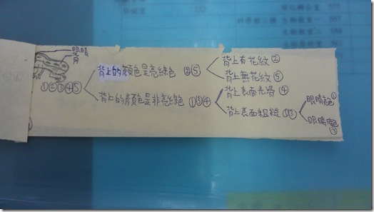 IMAG0299