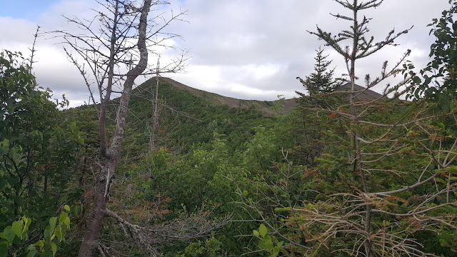 Sentier sur le mont Vallières-de-Saint-Réal