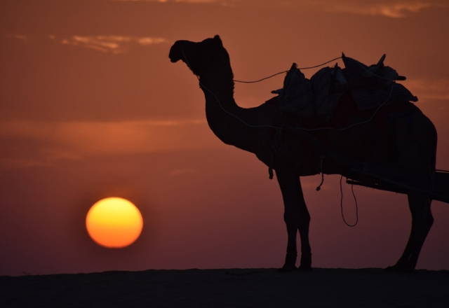 Sunset view in Jaisalmer