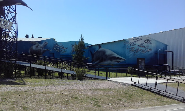 un mural que muestra un tiburón en las profundidades
