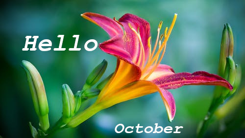Good Morning Welcome October