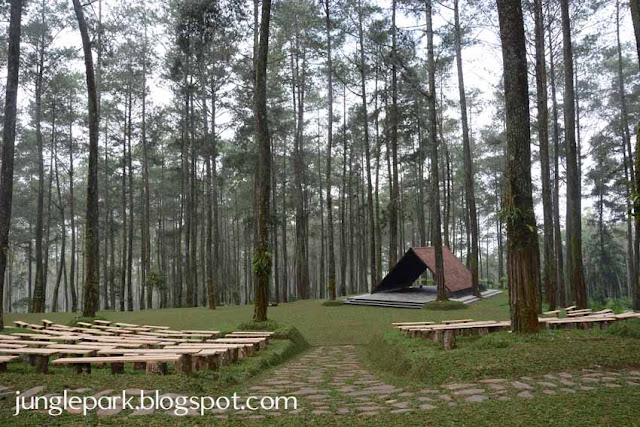 Orchid Forest Lembang, Tempat Outbound di Lembang Bandung, EO Outbound Lembang, Paket Outbound di Bandung