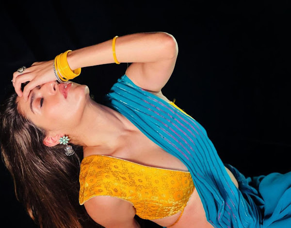 Shreya Mehta cleavage saree hot actress