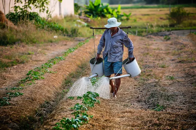 Features of Nepalese agriculture