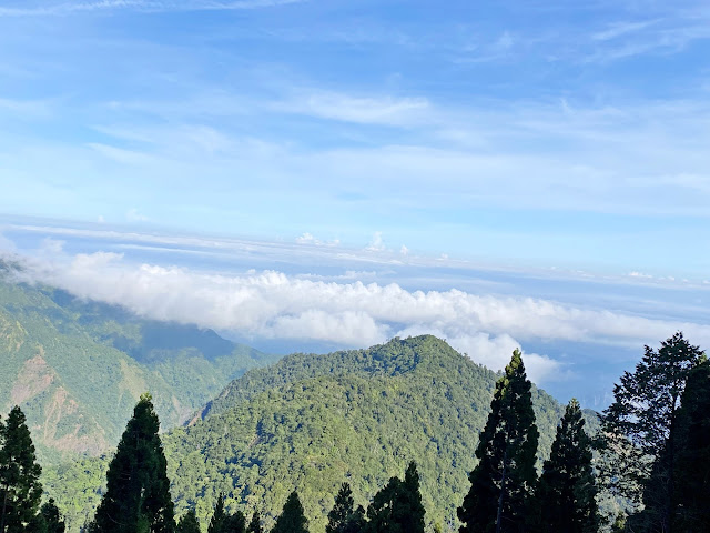 船型山林道