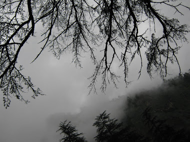 manali