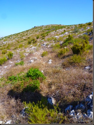 P1170347