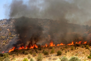 Ανακοίνωση Τμήματος Προστασίας Δήμου Κατερίνης για τον καθαρισμό οικοπέδων από ξερά χόρτα και εύφλεκτα υλικά