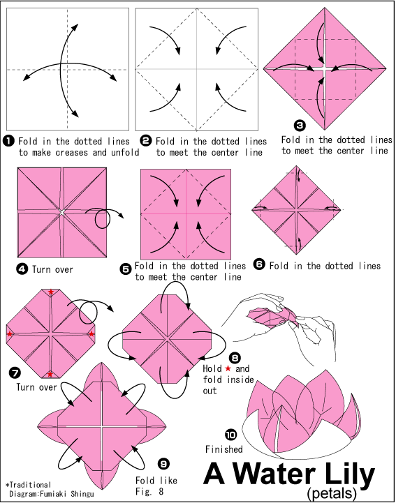  Cara  Membuat  Origami  Bunga  Teratai Water Lily  Cara  