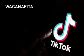 Download Video Tiktok tanpa watermark