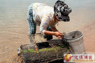 柬埔寨 女人島 - 沒有男人的 柬埔寨 女人島