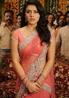 Hansika, Motwani, Cute, pink, saree, cleavage