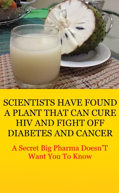 Scientists Have Found A Plant That Can Cure Hiv And Fight Off Diabetes And Cancer: A Secret Big Pharma Doesn’T Want You To Know