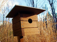 Simple Birdhouse Design