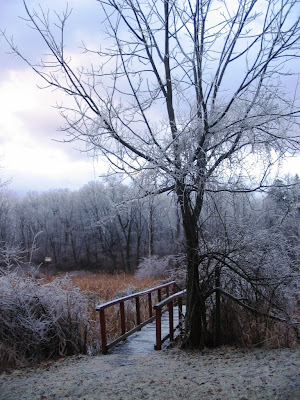 Snowy Shippensburg