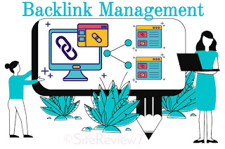 Backlink Management