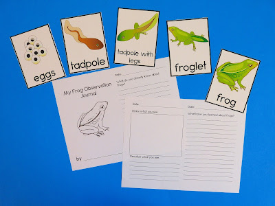 https://www.teacherspayteachers.com/Product/Frog-Life-Cycle-3-Part-Cards-Observation-Journal-and-Worksheets-2440386