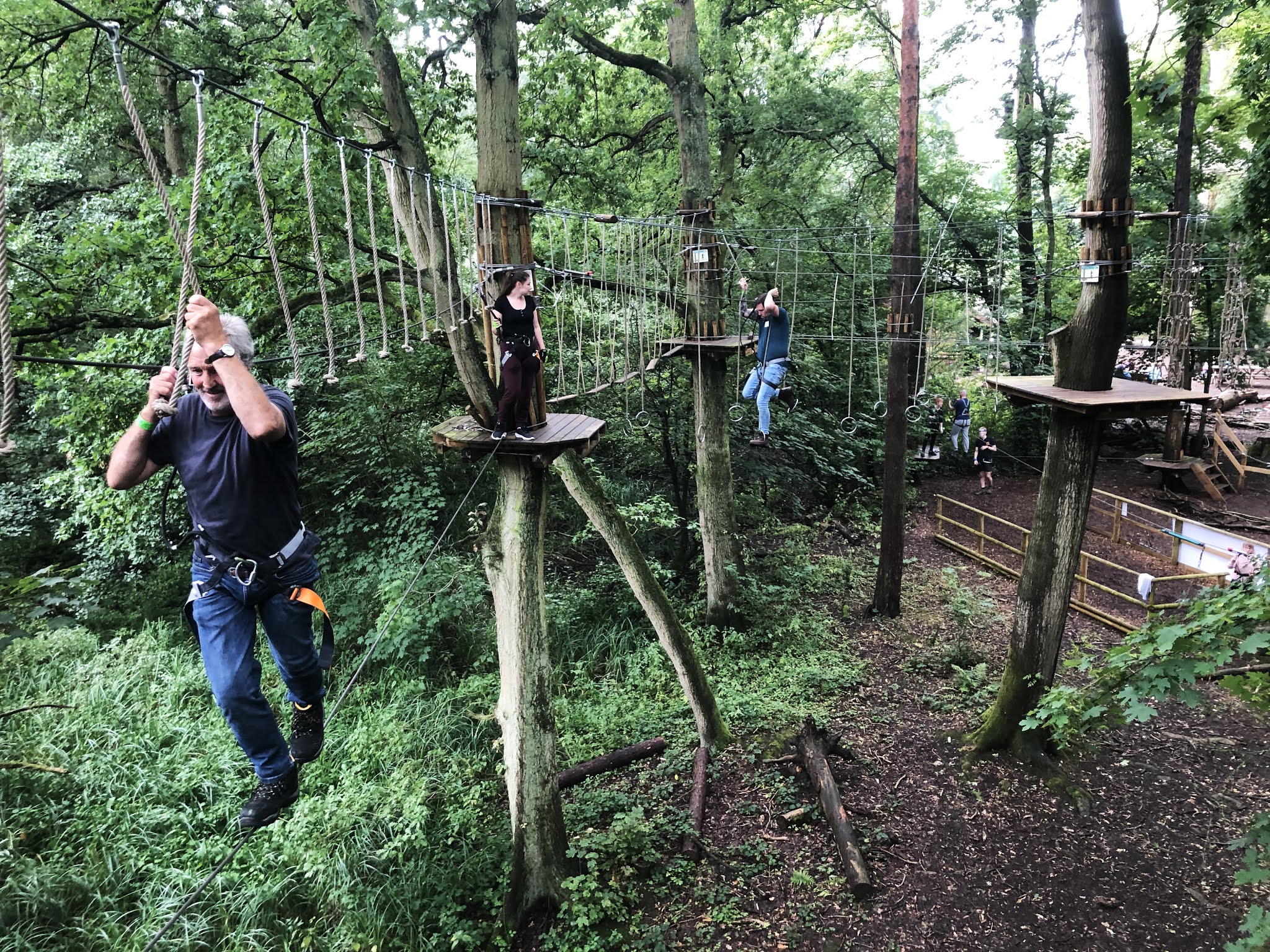 Several people working their way through the treetop obstacle course