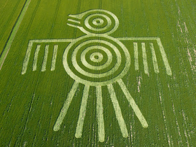 Crop Circle - Amazing Geometric Design - gvan42