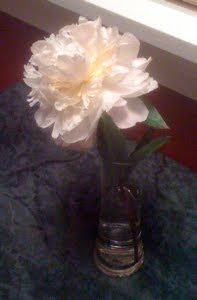 Photo of a peony in a vase.