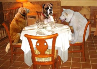 Perros cenando