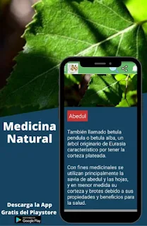App Medicina Natural Abedul Planta Medicinal