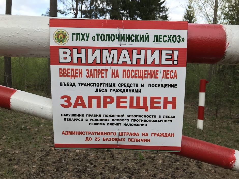 паровоз для машиниста