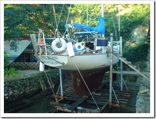 pelican2
