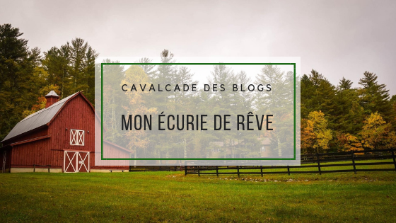 mon écurie de rêve équitation