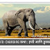 Life-Changing कथा : हत्ती आणि डुक्कर  | marathi mp3 Audiostory 