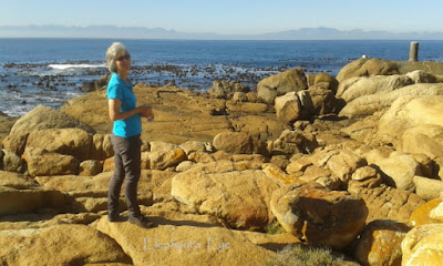 Mid-winter on the False Bay coast