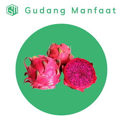 5 Manfaat Buah Naga Merah