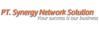 Lowongan Kerja PT Synergy Network Solution