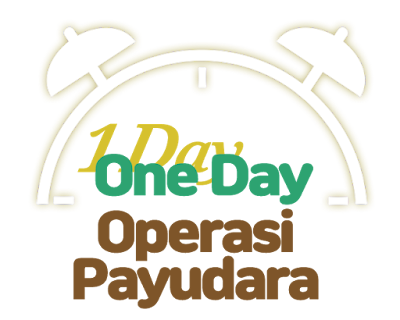 operasi payudara, operasi plastik korea, oplas korea, implan payudara, breast surgery, plastic surgery, dokter korea, konsultasi, payudara indah, operasi mudah, penyembuhan cepat, payudara besar