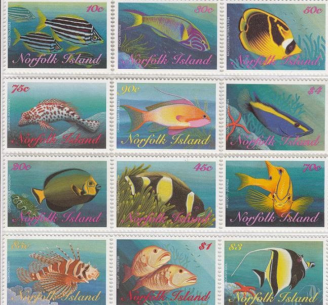 Foto Ikan Hiu Putih Binatang Laut Yang Ganas Foto Gambar Foto Ikan Hiu Putih Binatang Laut Yang Ganas Foto Gambar