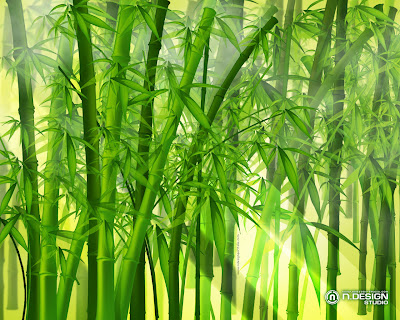 Bamboo