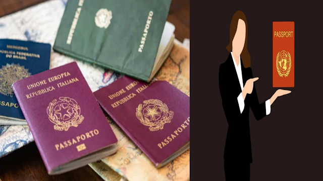 যেভাবে আপনিও পাসপোর্ট বানিয়ে অন্য দেশে চলে যেতে পারবেন | How you can make a passport and go to another country