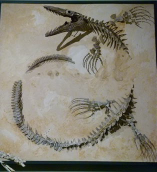 P1020781