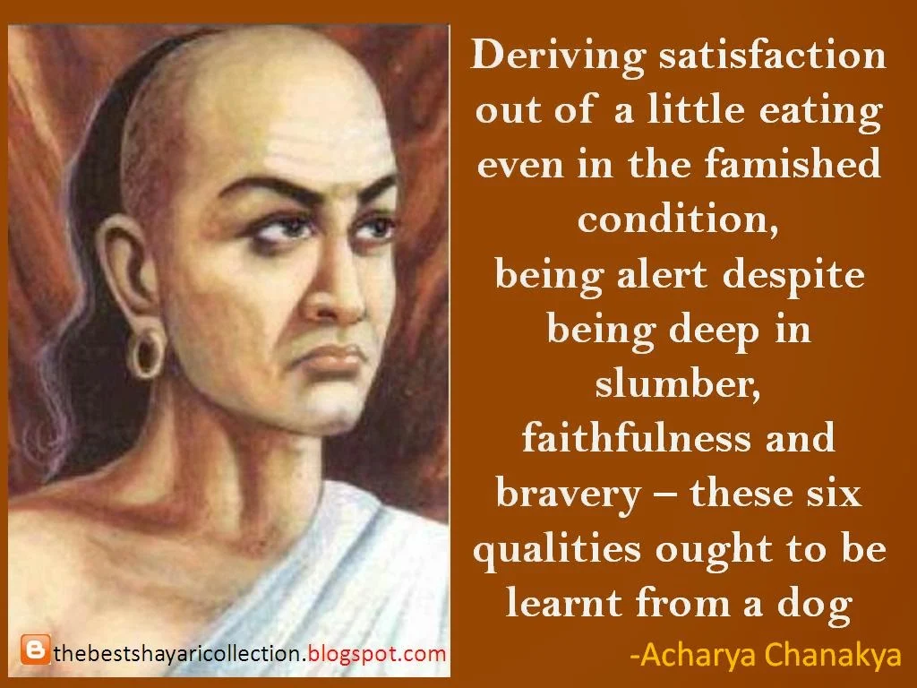 Chanakya quotes - Learning from the dog HD Photo wallapers