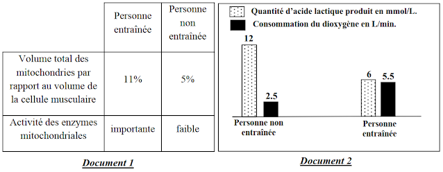 Exercices  corrigés : ATP et  contraction Musculaire SVT