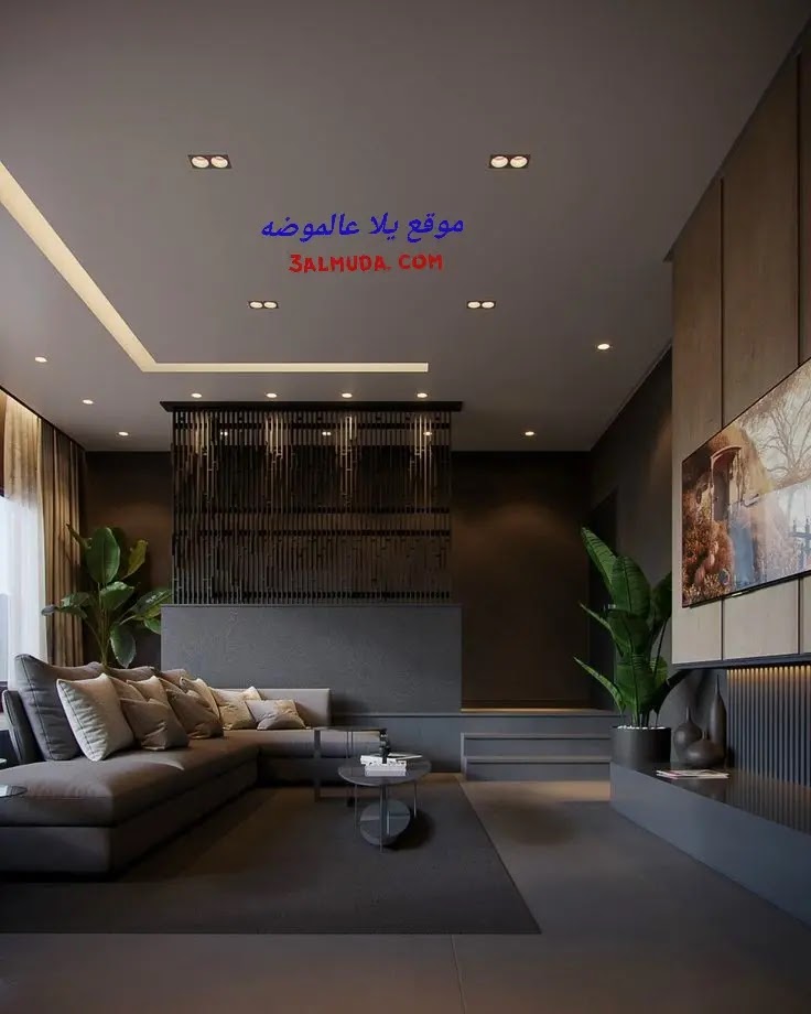 اسقف جبس بورد للصالات 2023 أشكال أسقف جبس بورد 2024