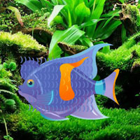 Play BIG Blue Fish Escape