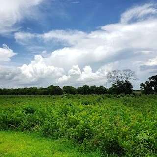 30+ image background hd for your photo and video free download