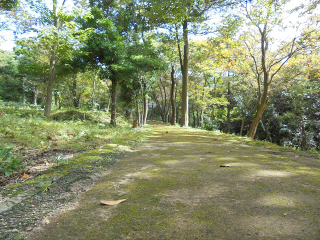 弥生の森遊歩道