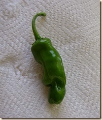 Peter pepper