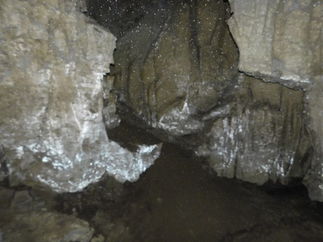 DSCN5727