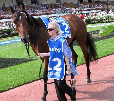 race7_fiveandahalfstar1
