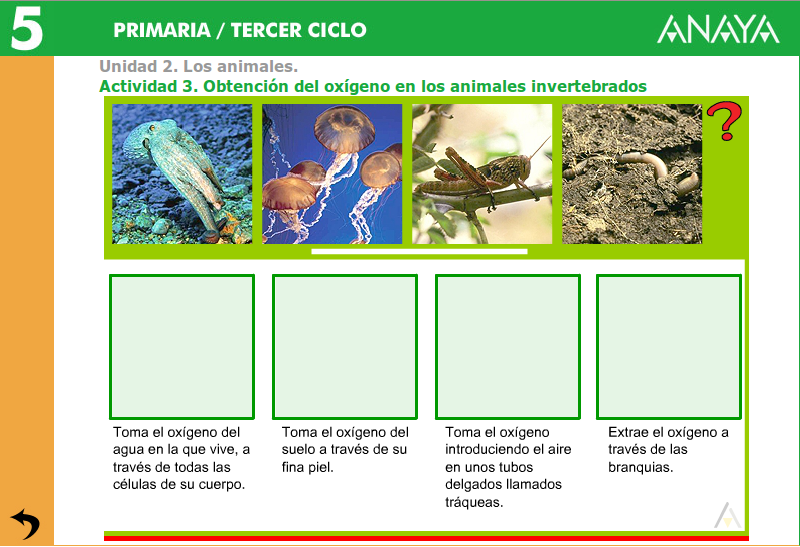 http://www.joaquincarrion.com/Recursosdidacticos/QUINTO/datos/02_Cmedio/datos/05rdi/ud02/03.htm