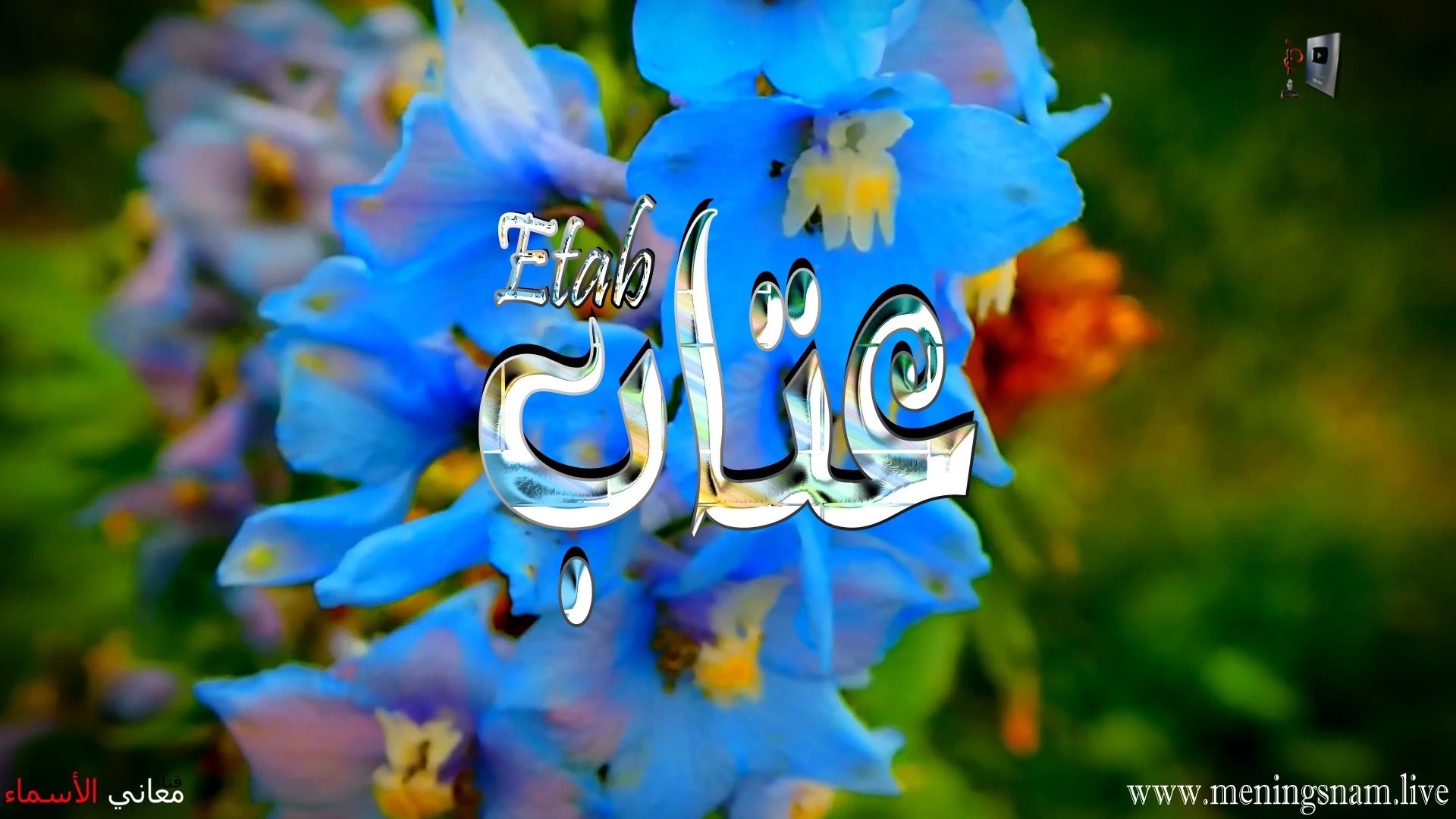 معنى اسم, عتاب, وصفات, حاملة, هذا الاسم, Etab,